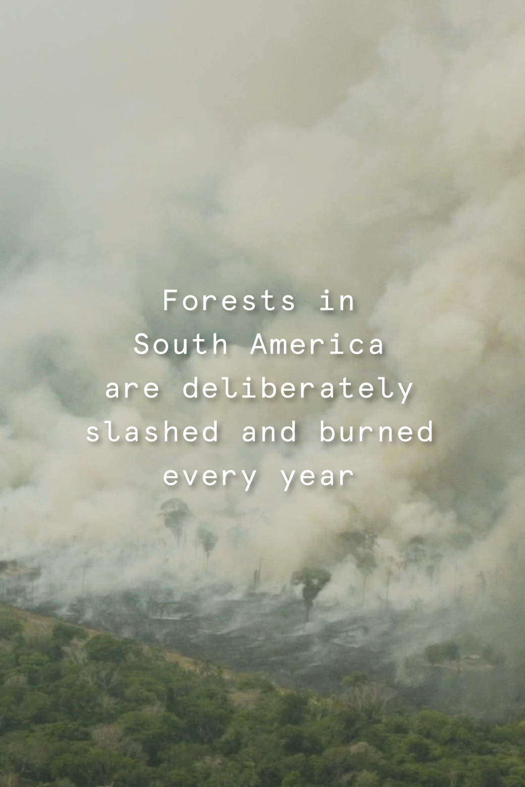 Stella McCartney's 2021 Greenpeace Collection Supports
